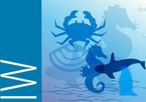 UNDP Icon Inland Waters