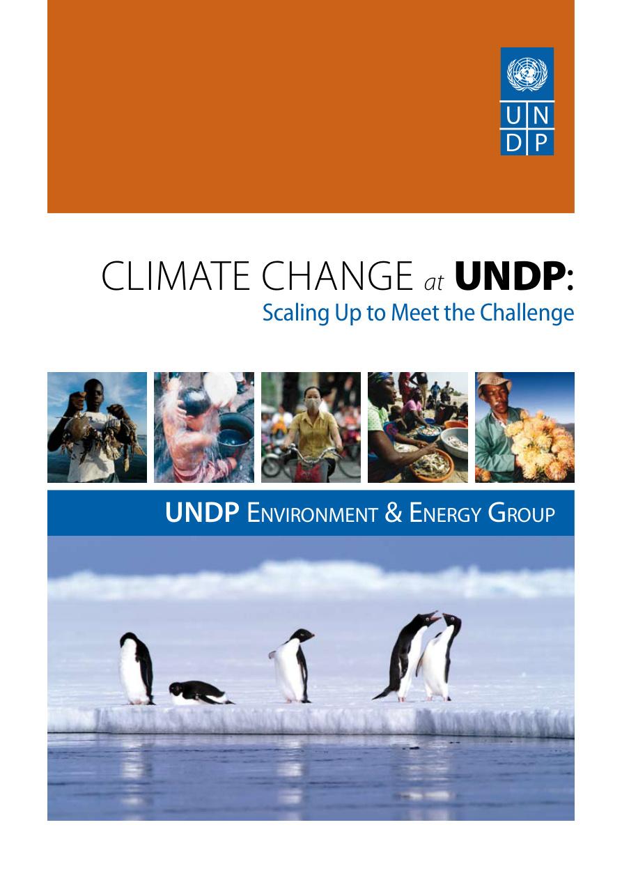 Climate Change at UNDP: Scaling Up to Meet the Challenge