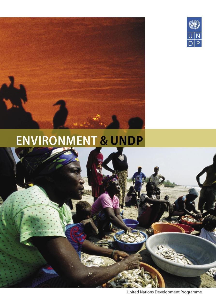 Environment & UNDP
