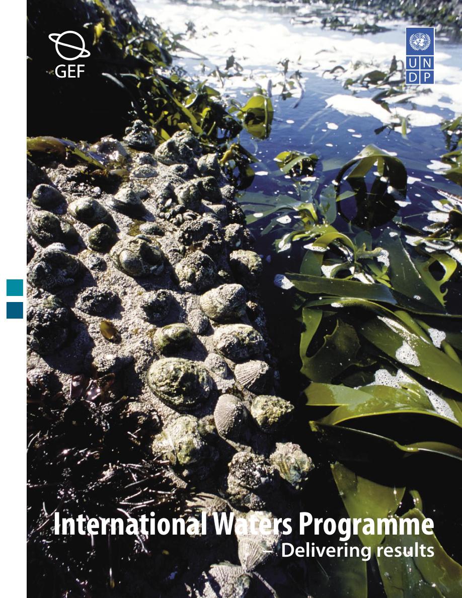 International Waters Programme: Delivering Results